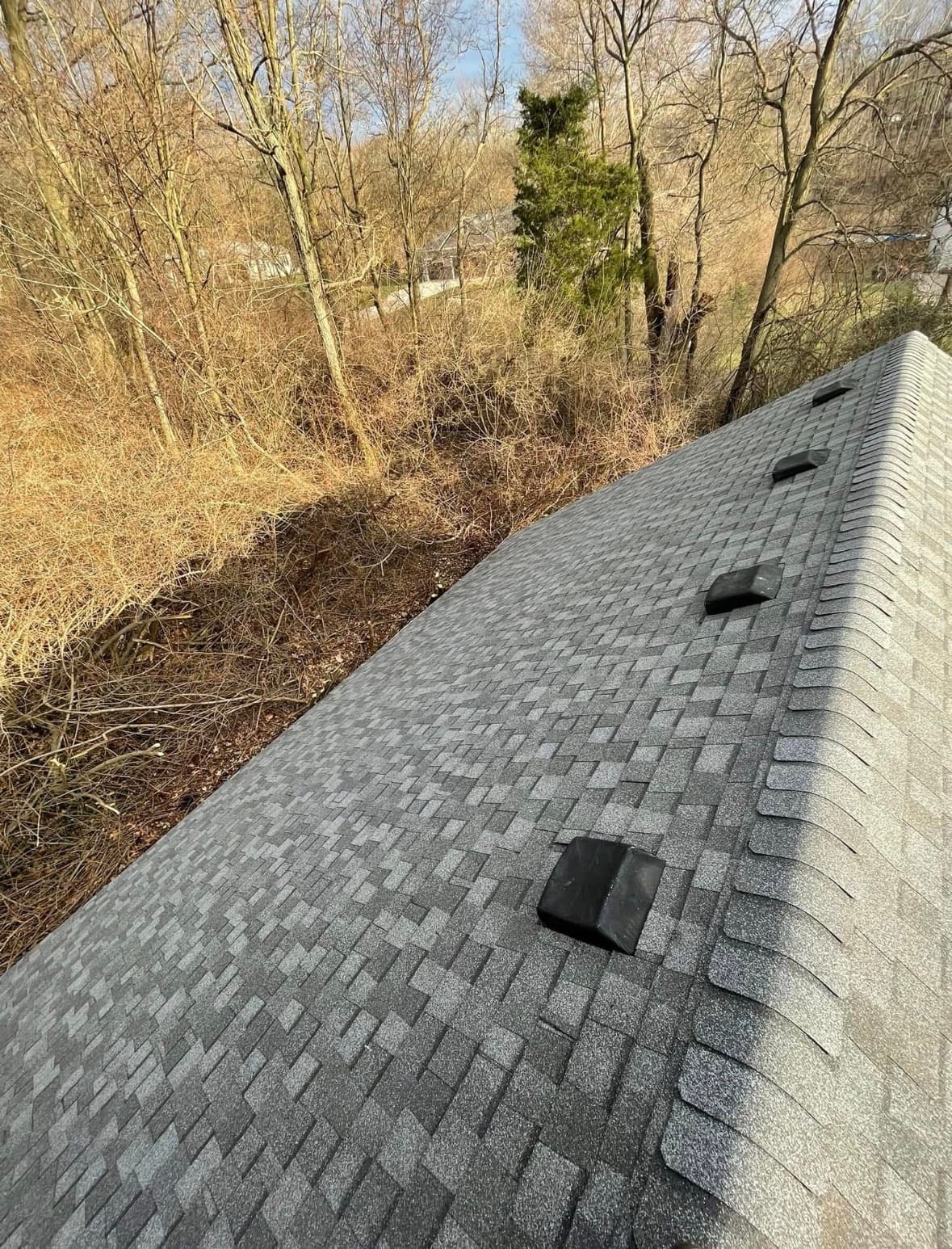 Completed shingle roof with a low-profile ridge vent